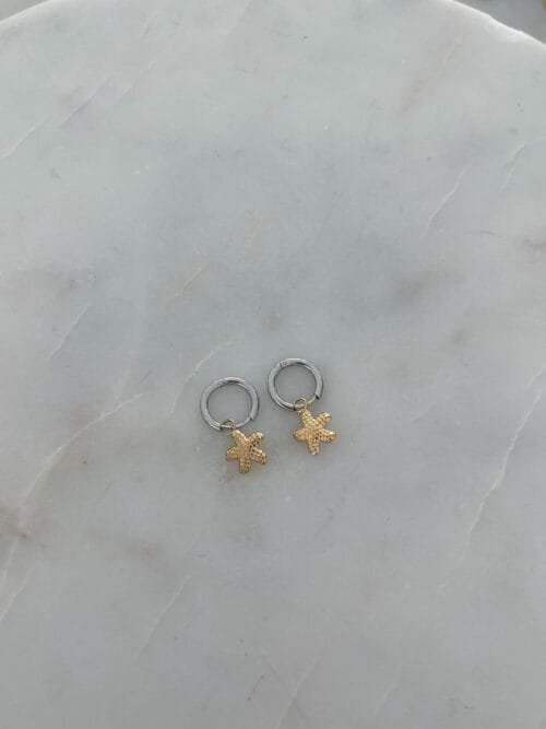 Cutest stars