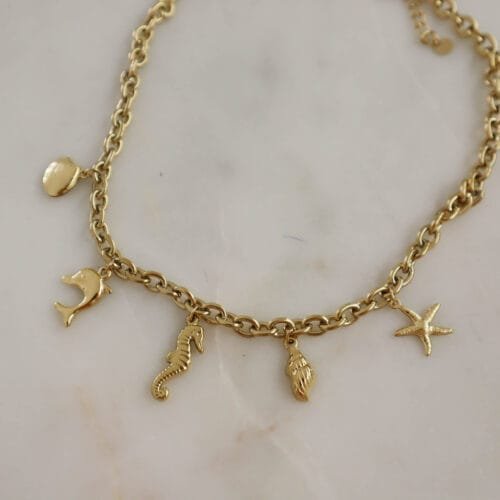 Sea horse - Image 2